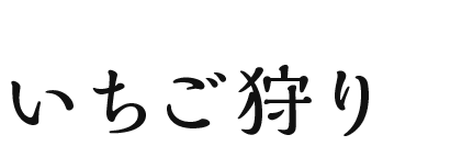 いちご狩り